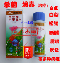 Methyl blue solution 125ml aquarium fish medicine ornamental fish medicine goldfish Arowana Arhat medicine