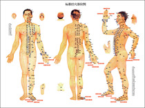 569 poster printed poster board material 258 human hole map standard acupoint map non-high-definition map