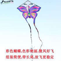 Gradient rainbow bird colorful bird swallow Color Butterfly kite color gorgeous children kite