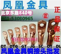 Phoenix DTG thick-piece tubular copper joint DTG-630MM2 (squared) copper nose A grade