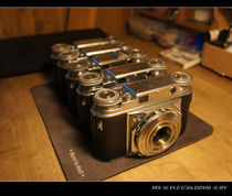 (De Wei Suspension)Flenda Prominent BessaII Vito III Macular Shutter Repair Warranty