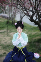 (Wanqing)Half-arm waist skirt Jiangnan Taohuajia Hanfu custom-made 2014 new products