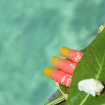 Whole food pregnant woman New mother Baby Lip Balm Forest Garden