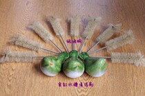 Automatic drinking fountain cleaning brush eating tank sink water tank brush cage brush short brush long brush bird brush