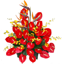 Shanghai Flower Express Celebration Congratulations Flowers Daoxi Flowers Big Red Palm Flower Basket Opening Home Move to Send Flowers