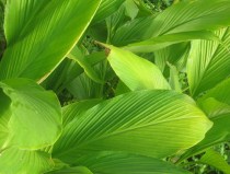 Oral Clinic Management System Oral Clinic Management Dental Management Software Installation Video