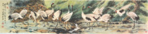 The thirteenth crane painting of the country painting of flowers and birds banner hand painting painting painting and painting works passed on the collection level