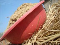 Rice whole grain grinder Freshly ground rice straw powder Rice straw powder Rice straw powder 250g