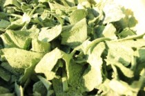 Lu Tortoise Special Intestinal Conditioning Powder Lu Tortoise Staple Food Tortoise Grass Powder For Preventing Lathin Enteritis Conditioning Intestinal Tract