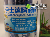 Imported can be used completely in water Water glue water plant landscaping special 4 grams
