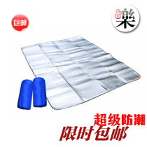 Shengyuan Aluminum Foil Aluminum Film Anti-Tide Mat Oversize Double Multiplayer Aluminum Foil Cushion Outdoor Camping Picnic Special Price
