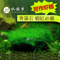 Aquarium Township] Prospect aquatic plants algae algae algae planting ornamental fish shrimp aquatic tanks landscaping decorative shrimp grain