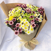 Beijing flower shop city delivery Flowers Express Express (special flowers) birthday gift Daisy bouquet