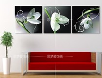 Crystal painting Decorative painting European painting Hanging painting Wall frameless painting European living room decorative painting Sofa background decorative painting