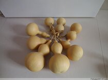 Treatment practice painting with flawed natural gourd around 18cm