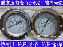 YE-60ZT 0-100KPA axial band edge diaphragm pressure gauge