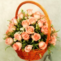 36 pink rose flower basket birthday birthday flowers express Shanghai flowers express small flower basket Teachers Day 2064