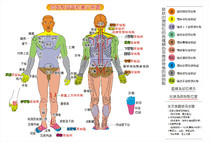 Schematic diagram of the scope covered by the original point) the necessary human body diagram of the original point) the size of the hole map hole A3 copy paper