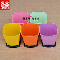 X-27 fleshy pot sowing practical square pot fashion color desktop potted high grade plastic flower pot with tray