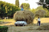 Small wheat fantastic tales lu postage complement