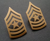 Transline handling U S ARMY US Army Military Long Collar Badge gold pair (spot)