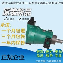 Factory direct high quality and high efficiency low noise 160YCY 160y14-1b high pressure variable axial piston pump