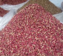 New Sichuan Maoboon Tint Big Red Red Burqa Sichuan Peppercorns Chongqing Hot Pot Special Good Red Peppers Spicy Sesame 10 catty