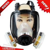 Tangfeng gas mask chemical painting Special Army fire formaldehyde dust-proof decoration paint ammonia grinding full mask