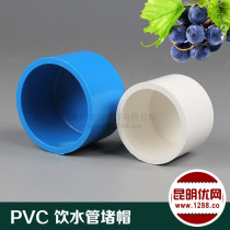 PVC pipe cap Plastic pipe plug PVC pipe cap plug tube cover stuffy head PVC water pipe block udi water supply fittings