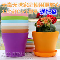 Grow flowers Grow vegetables Curve open plastic fleshy flower pot with outlet hole with tray PP5 plastic send tray