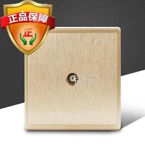ZTE TV socket champagne gold brushed 86 type concealed high quality PC panel G8 Series 300 yuan