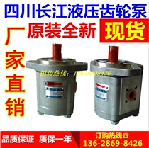 Sichuan Changjiang Gear pump CBK1020-420R CBK1016-420R CBK1025-420R 