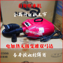 Chunzhou double motor pet water blower Dog high-power silent large dog special hair blowing artifact hair dryer