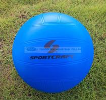 Childrens adult entertainment Beach volleyball competition Volleyball PVC rubber volleyball Swimming sports Water volleyball