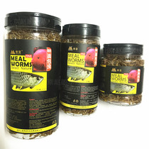  Boguan boutique bread worm High-quality bread worm Dried arowana Large fish Meat-eating fish feed Fish food High protein