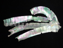 Factory Wholesale natural conch shell sheet snail sheet lacquerware musical instrument furniture inlay materials home decorations