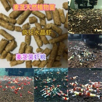 Stem Bacillus Natto Plant Bacteria Crystal Shrimp Feed Rice Shrimp Feed Ornamental Shrimp Feed Shrimp Grain Shrimp Burger