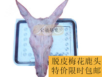 China Jilin Sika Deer fresh deer head venison deer tendon Deer whip products