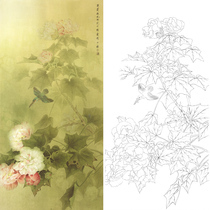  Gongbi painting white sketch manuscript Hibiscus flower bird Zhou Zhongyao original large physical print manuscript 60*120 with color map 102T