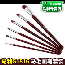 Marley brand G1816 horse hair round head gouache Pen Set 6 sets of acrylic brush oil brush set art watercolor brush paint brush paint brush acrylic drawing student art Special