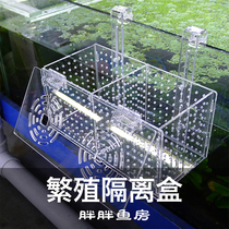 Acrylic Fetal Raw Fish Peacock Fish Tropical Fish Ornamental Shrimp Crystal Shrimp Isolated Propagation Hatchbox Bucket Fish Box Thickening