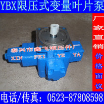 Medium pressure high performance YBX-16 limited variable vane pump machine tool hydraulic lubricating oil pump for oil delivery