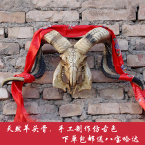 Natural sheepshead bone decoration ornaments Handmade antique old sheepshead specimen craft gift wall decoration pendant