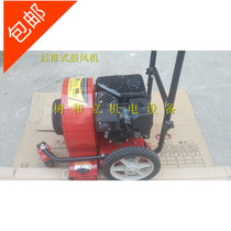Tree and upright SHL51Y push type blower High power blow dust machine 4-stroke snow blower pure petrol blower