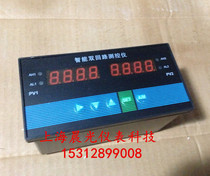 TWP4-20MA dual-loop horizontal temperature measuring and controlling instrument UNIVERSAL input pressure display instrument LIQUID level controller