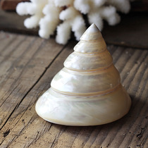 For Buddha Pearl White Pagoda Mauling Luminous Tower Big Horseshoe Fluorescent Snail 5-10cm Natural Conch Shell Fish Tank Landscape