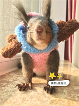 Small pet clothing squirrel clothes New Products new hot selling squirrel guinea pigs and other small pets (Joba)