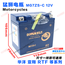 T4 T6 M2 M3 M4 MX6 M7 ASG 250 Motocross battery Lion maintenance-free dry battery