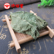 Chinese herbal medicine mulberry leaf 500g winter mulberry leaf Frost mulberry leaf dry fresh green mulberry leaf with no wild corn bamboo tea