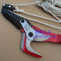 Taiwan Xianren Island High Branch Shear Head High-altitude Scissors High-altitude Pruning Shears Garden Scissors Fruit Tree Scissors